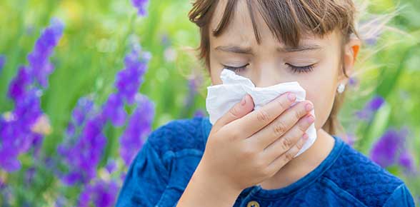 Crise allergique pollen et asthme : comment soulager les symptômes ?